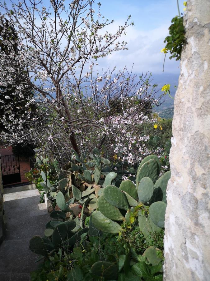 Casa Opuntia Villa Pappaygiannades Exterior foto
